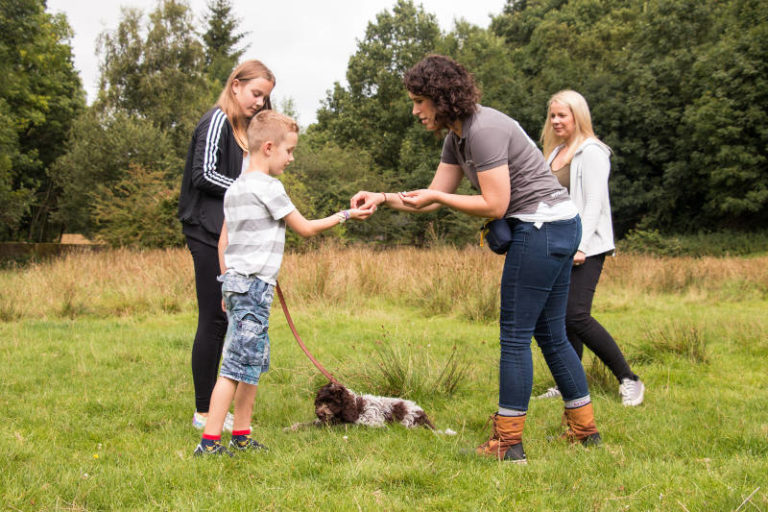 Puppy Training Courses in Glossop The Puppy Nanny