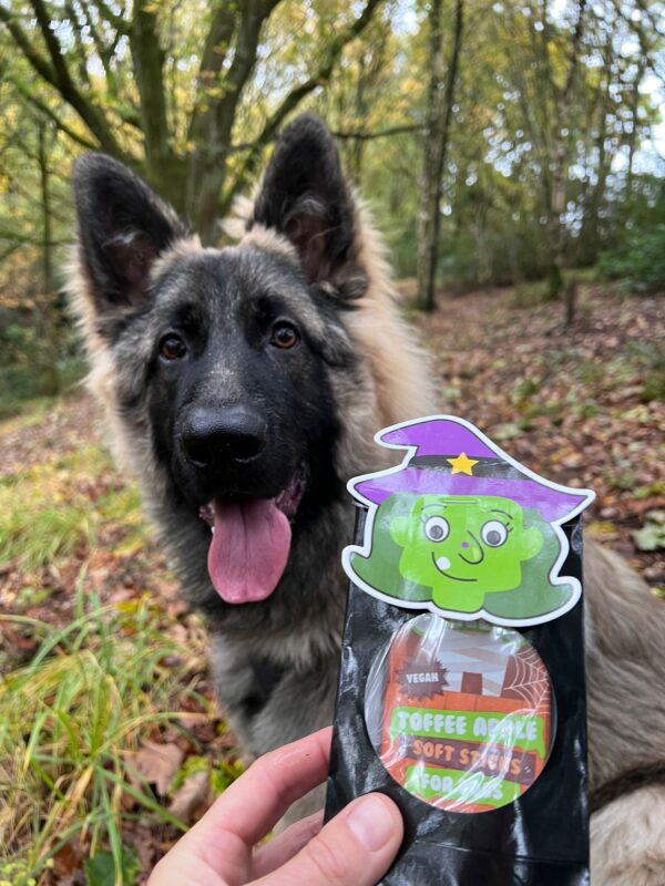 Tricks for Treats! - Puppy Nanny School Trip