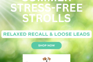 SUMMER STRESS-FREE STROLLS