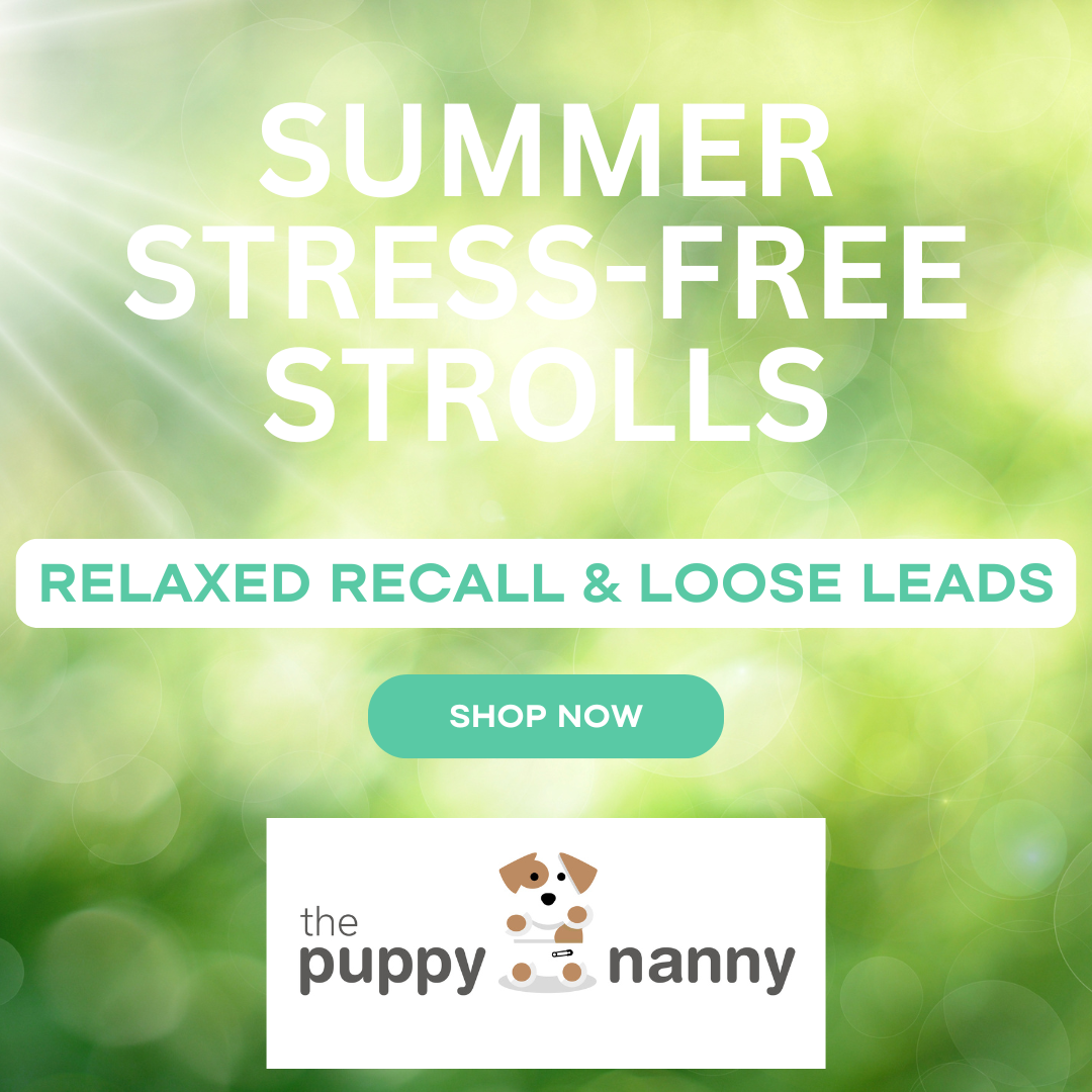 SUMMER STRESS-FREE STROLLS