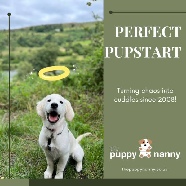 PERFECT PUPSTART PROGRAMME