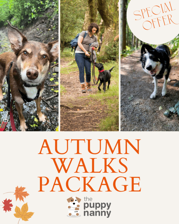 AUTUMN WALKS PACKAGE