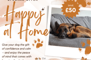 Happy at Home Package
