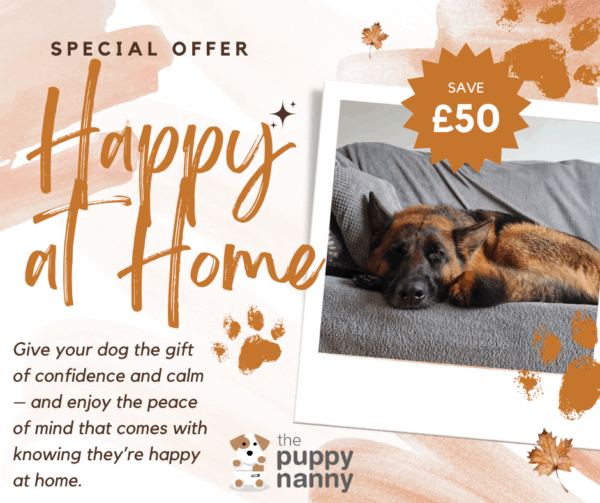 Happy at Home Package
